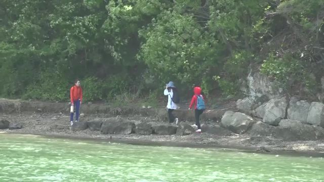 미디어방송